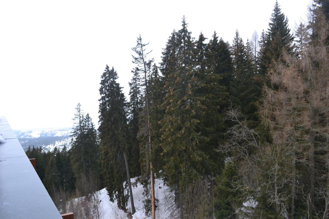 Panorama Apartmany Štrbské Pleso Eksteriør billede